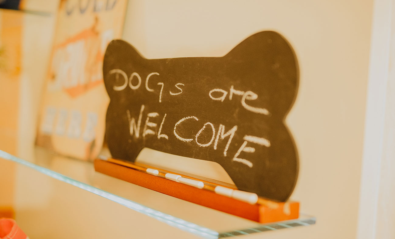 Hunde sind erlaubt im Hotel Stern in St. Gilgen am Wolfgangsee im Salzkammergut